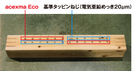 acexma Eco(エスマエコ)