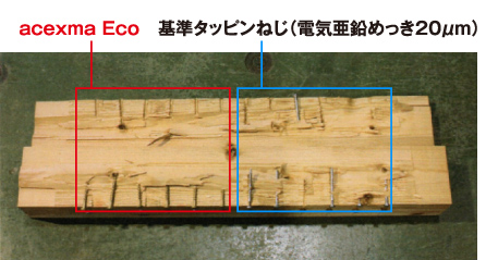 acexma Eco(エスマエコ)